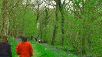 Chenson Farm, EX18 7LF, Chulmleigh, Devon