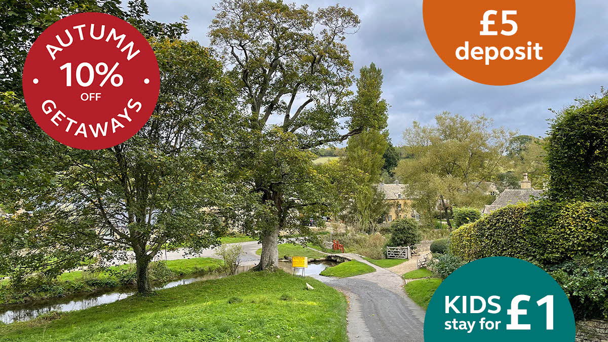 Bob Nicholas - Main photo