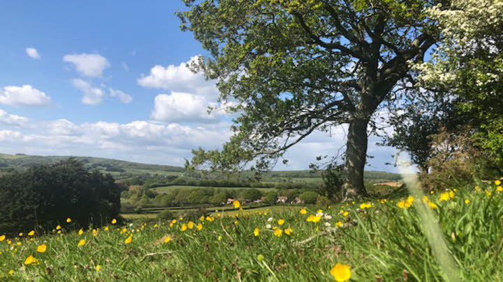 Borthwood Caravans CL | Caravan and Motorhome Club