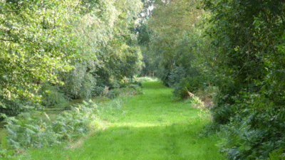 Willoways, NR31 9QS, CL