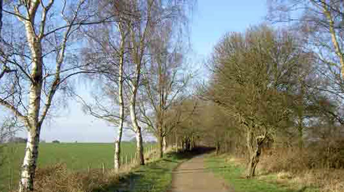 Acorns Caravan Park, CW7 2BF
