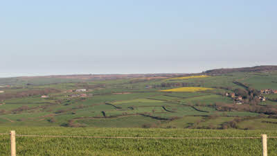 Abbey View, YO21 1SW, CL