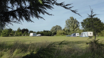 Deodara, NR31 9QS, CL