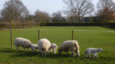 Woodlands Farm, WR3 8TA