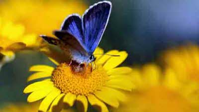 Winter Egg Farm, BN18 0BA