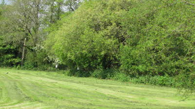 Longmeadow, BH22 0LW, Verwood, Dorset, CL 