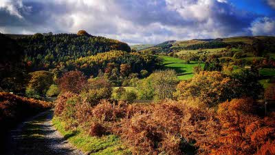A beautiful array of colours shades of orange and greens leading to bright green hilly grassland with a forest of trees to the left spread into the distance under a cloudy by blue sky